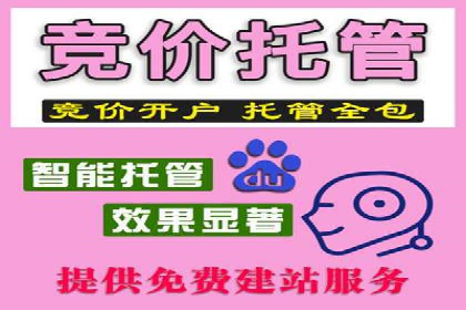 百度竞价个人账户开户案例：创意广告策略助力业务发展